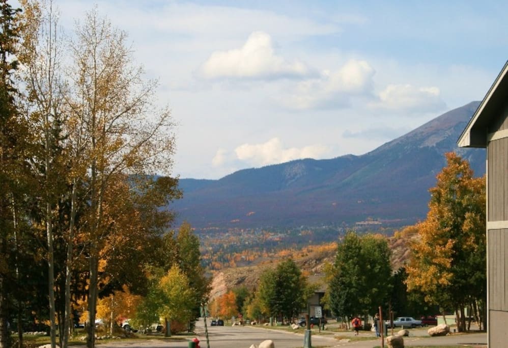 View from building in Autumn - gorgeous!