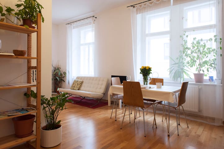 Studio Andel Downtown 8 minutes to city centrum