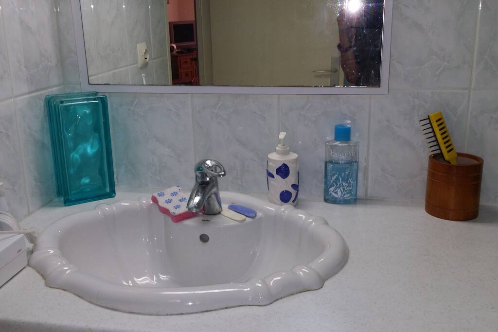 Salle de bain avec douche et WC.