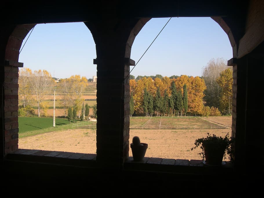 vista desde la galería en otoño