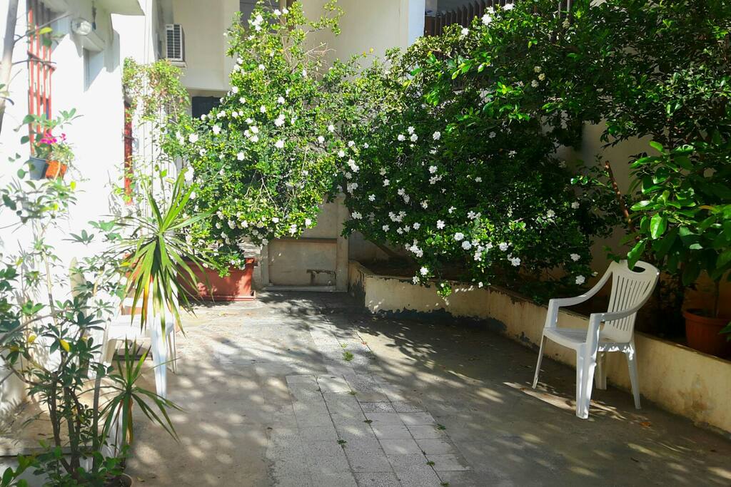 Patio