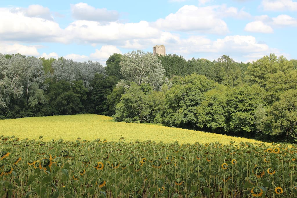 Balade dans les champs voisins