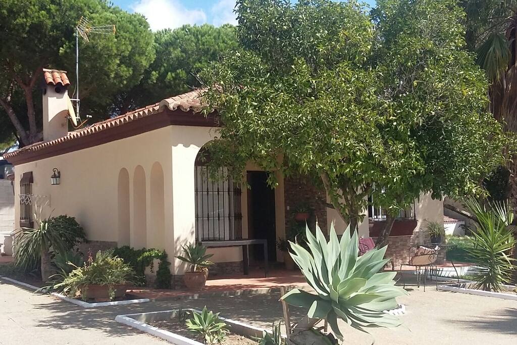 vista frontal