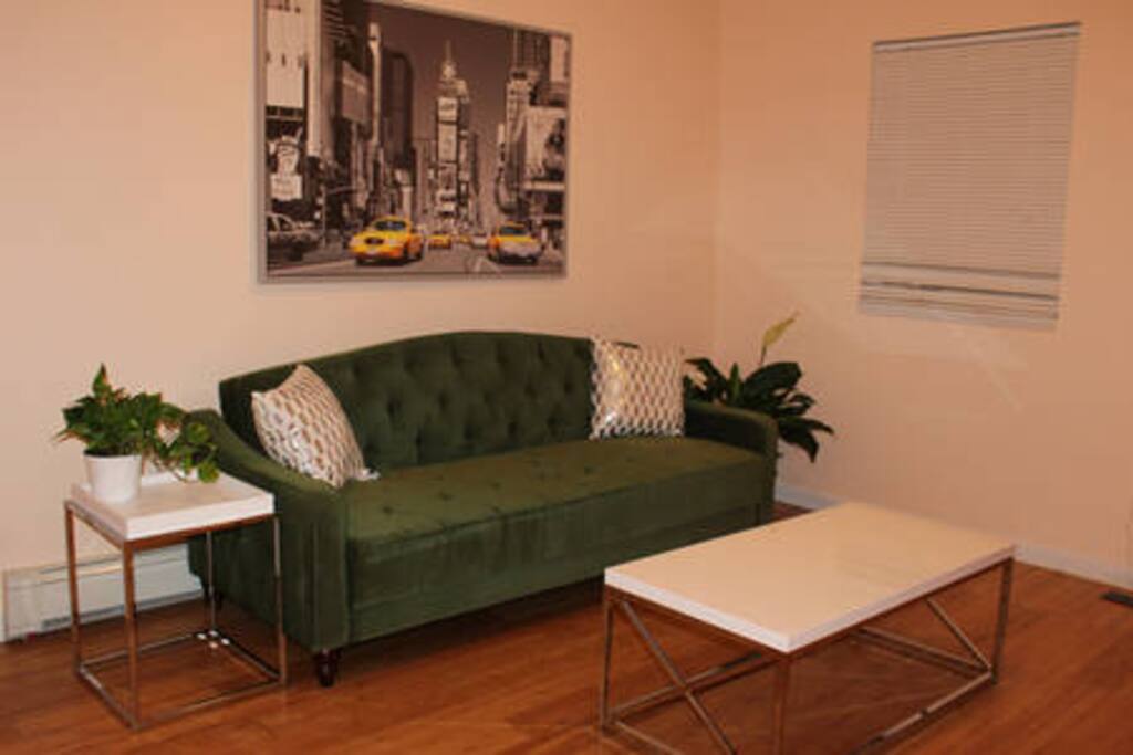 Comfortable trendy living room