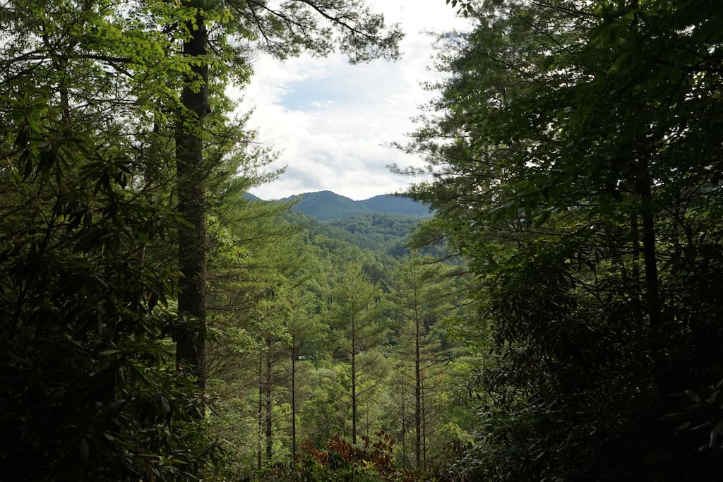 Western View into Pisgah National Forest