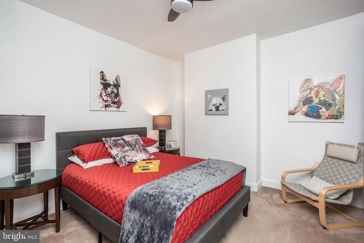 Suite met hondenthema