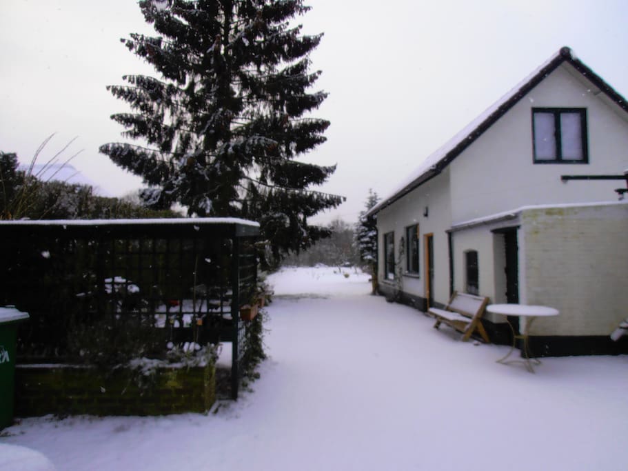 Huisje met tuin in wintersfeer