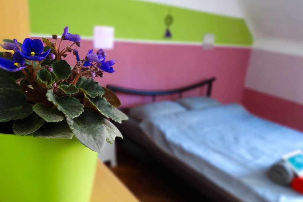 Your room