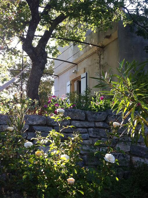 entrée avec pergola et glycine