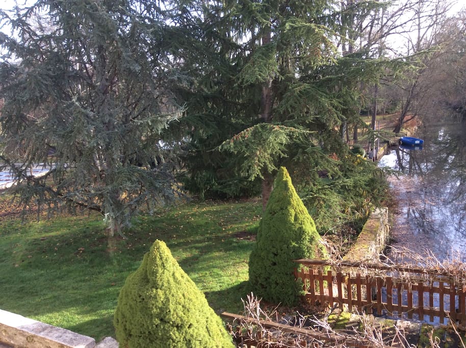 View from kitchen