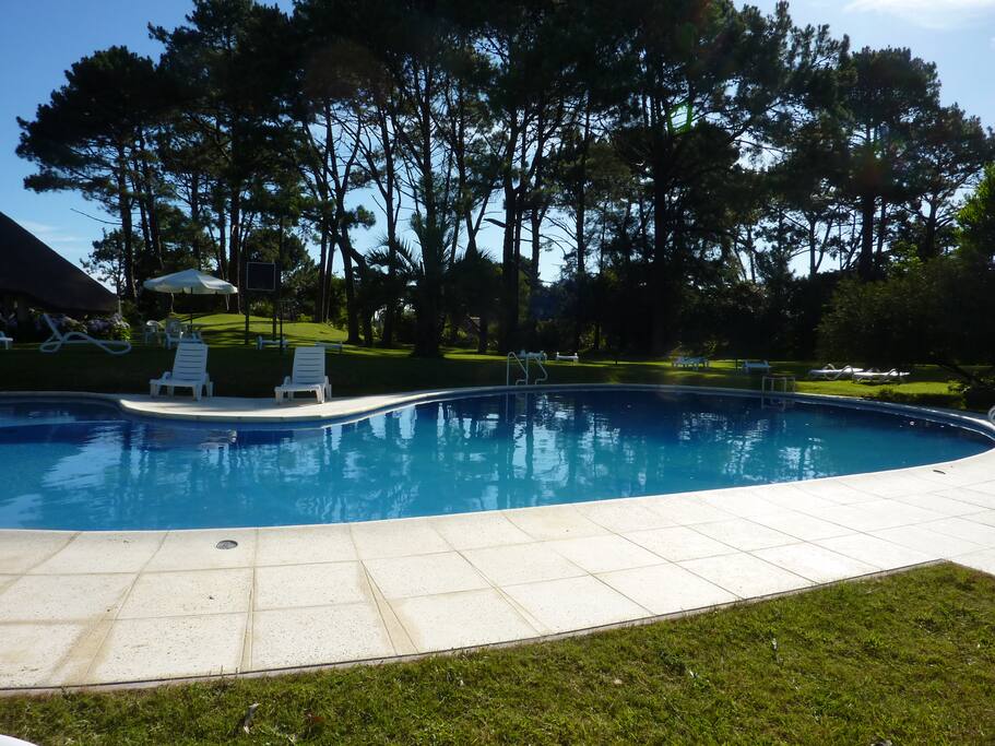 Hermoso jardin y espacios al aire libre