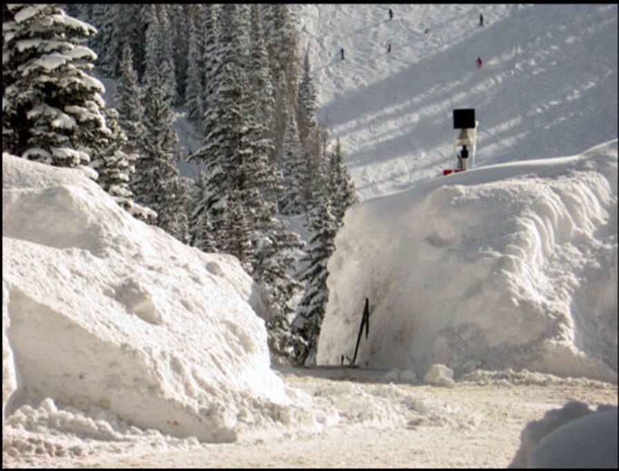 THIS IS WHY YOU COME TO SNOWBIRD!