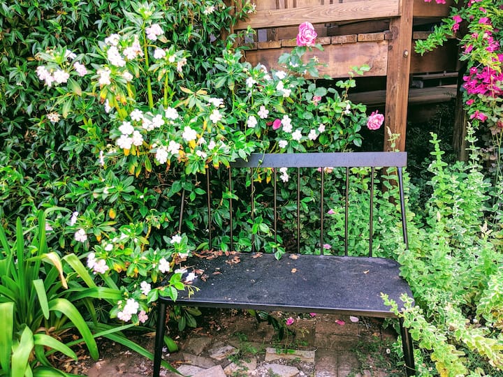 Berkeley Vacation Rentals & Homes California, United States Airbnb