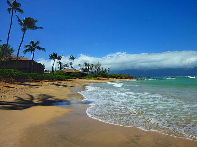 Oceanfront with beach and pool