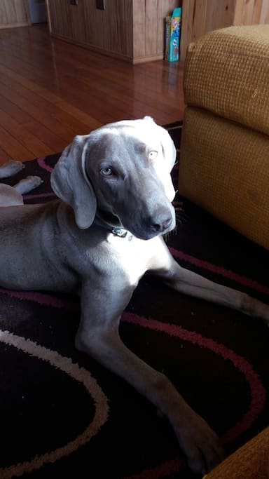 Arwen