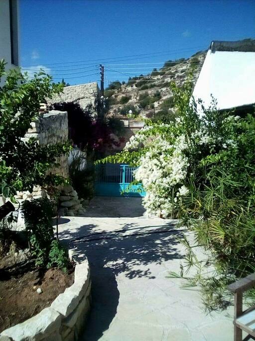 garden