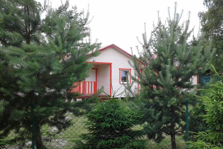 WHITE HOLIDAYS