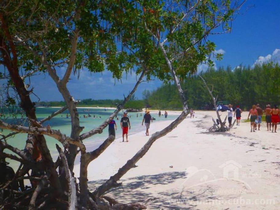 Playa Cayo Jutias