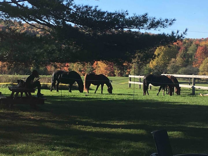 Lake Carmi Vacation Rentals & Homes Franklin, VT Airbnb