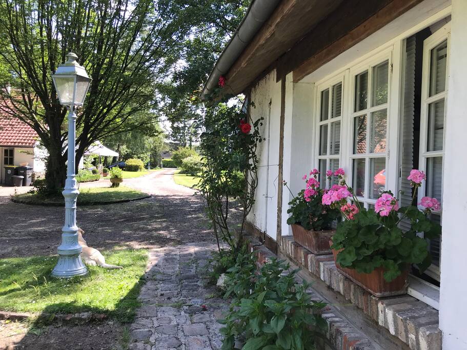 L'entrée
