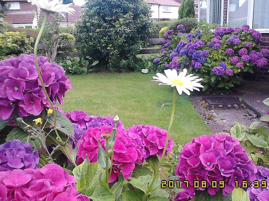 Large, mature gardens