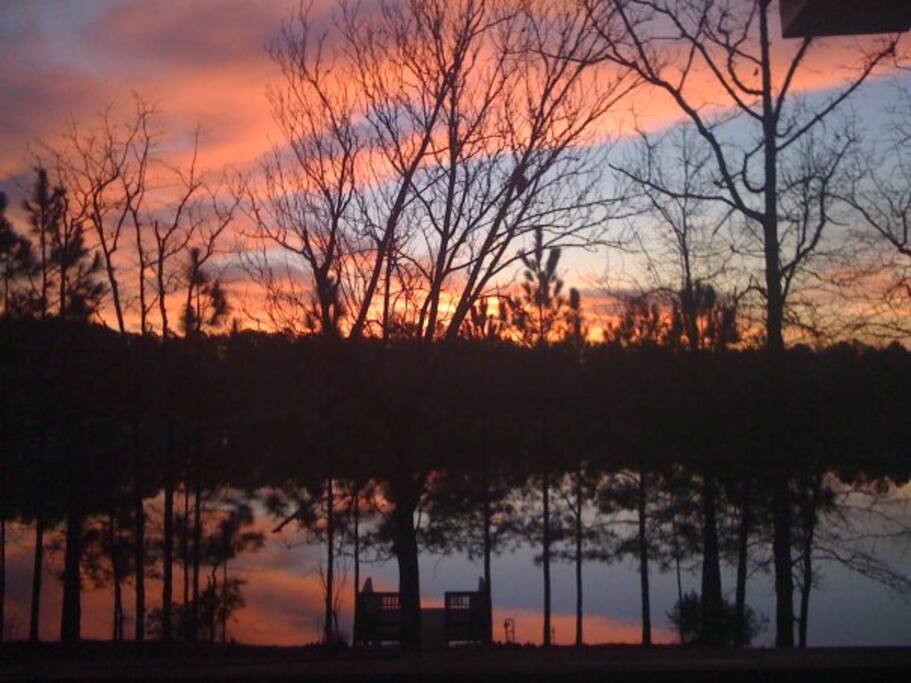 View from back porch