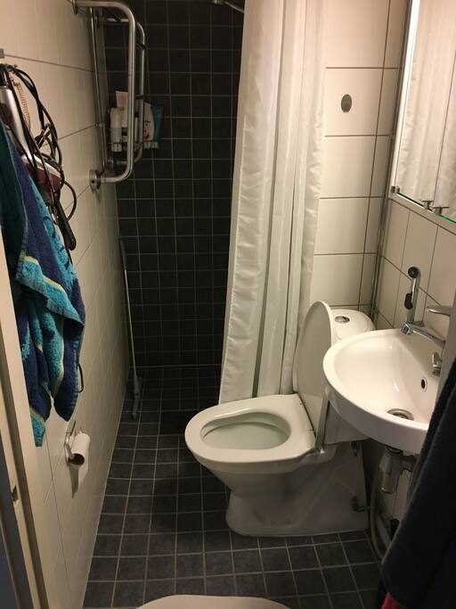 Compact bathroom with shower.