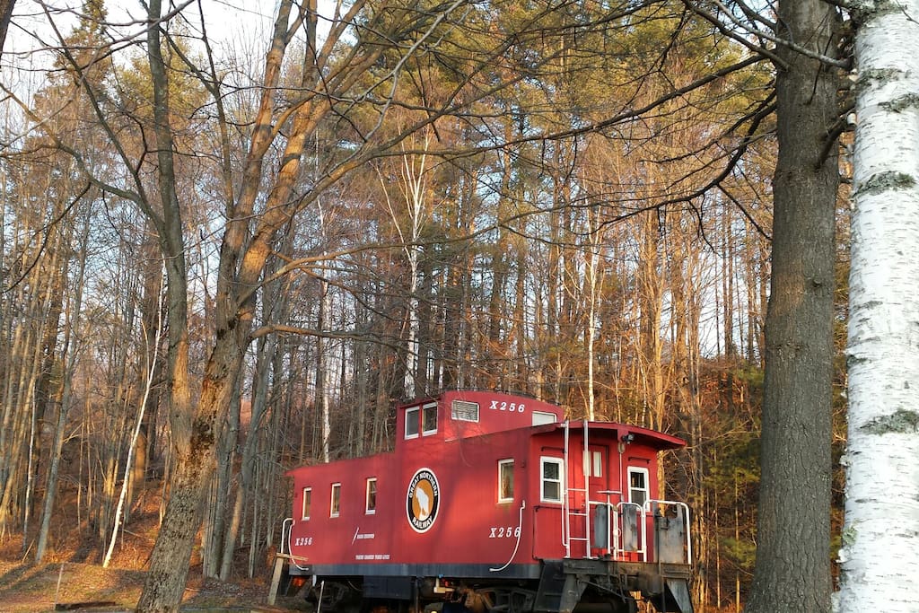 Caboose in the Clearing
