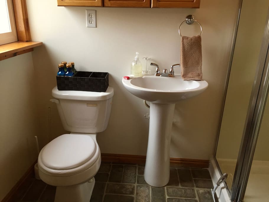 Toilet and sink. Includes shampoo & conditioner.