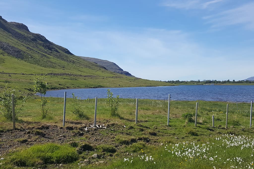 Meðalfellsvatn (lake)