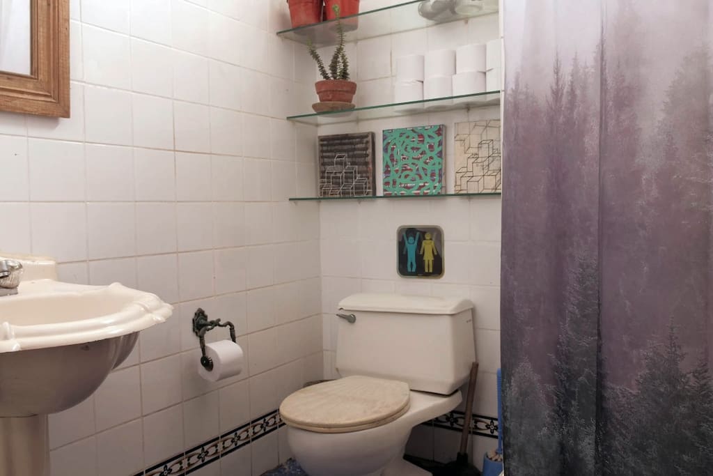 Baño con ducha española y calentador a gas