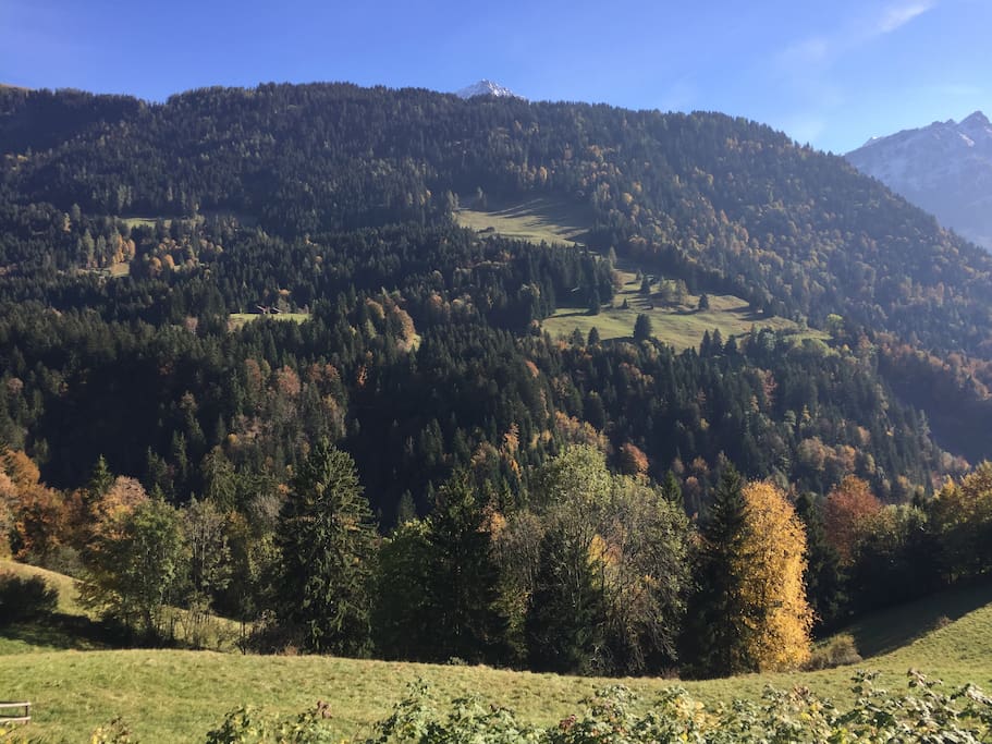 Summer View