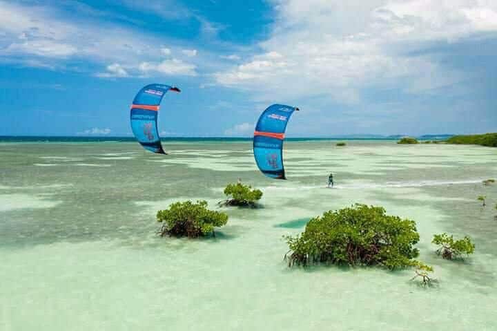 Two kites are seen soaring above shallow waters, surrounded by clusters of green mangroves. The calm sea reflects the vibrant blue sky, creating a serene and open landscape. A distant shoreline is visible in the background, emphasizing the remote tranquility of the area.