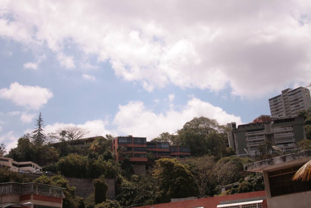 We enjoy a nice and quiet view in the middle of the city