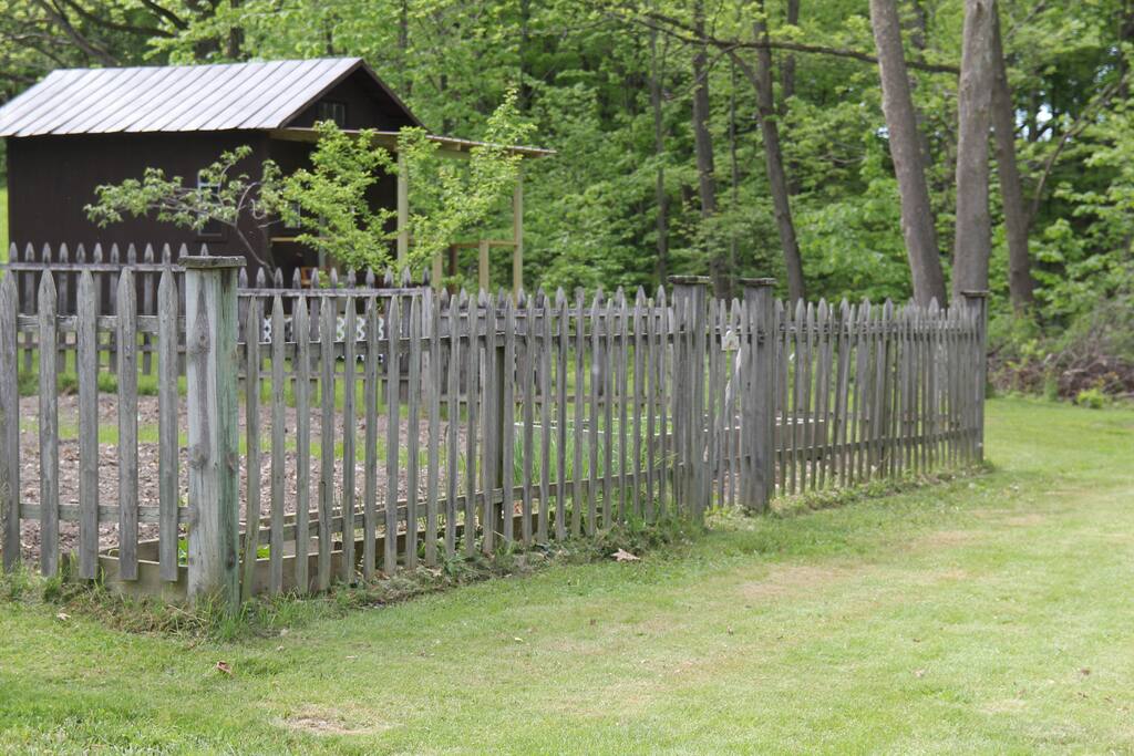 Garden, with peach cottage behind...