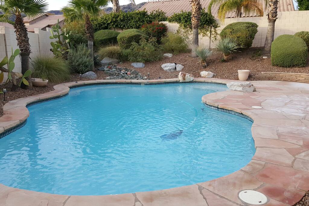 Sparkling Private Pool in Backyard