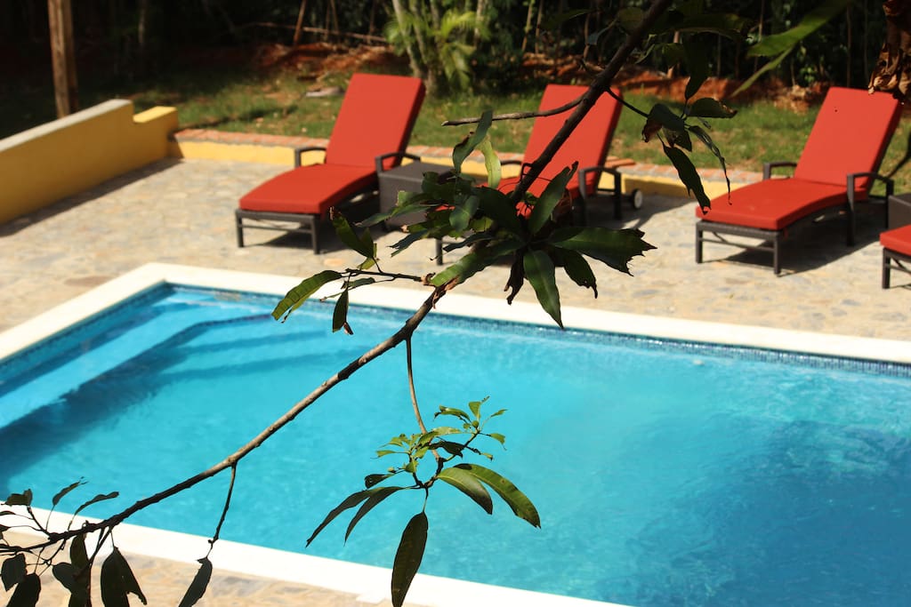 Brand new pool