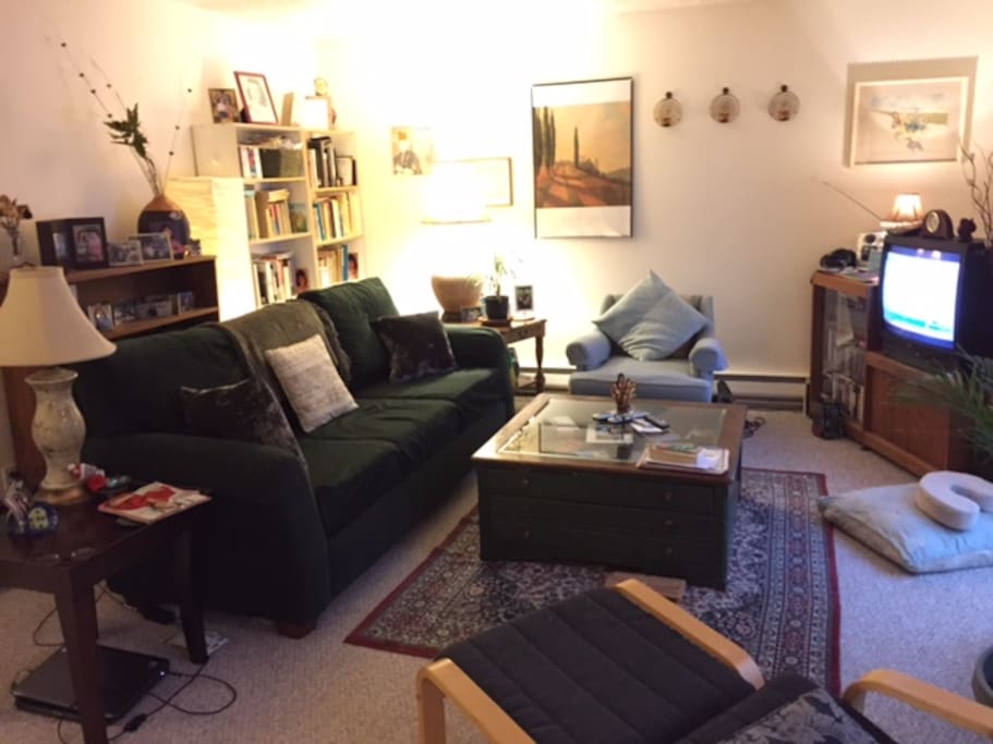 Cozy, shared living room. We do have a kitty! She's lots of fun.
