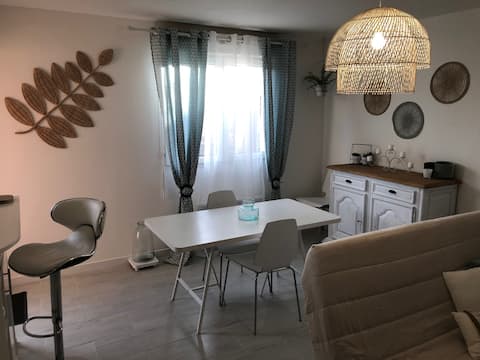 Cozy apartment with garden in Blagnac.