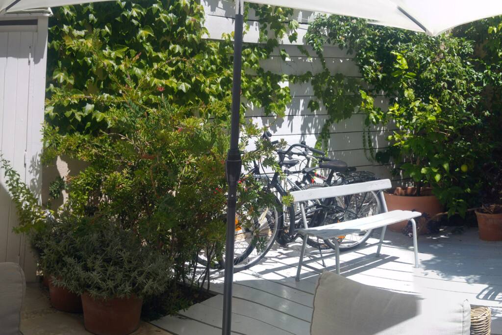 jardin
