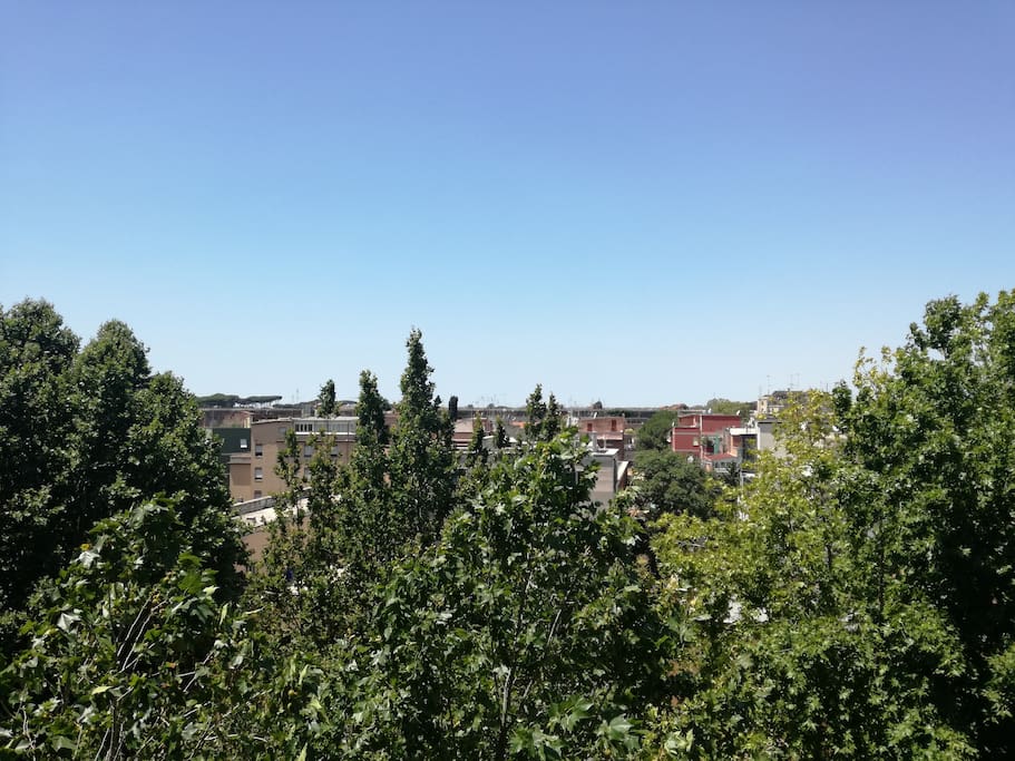 View from the apartment