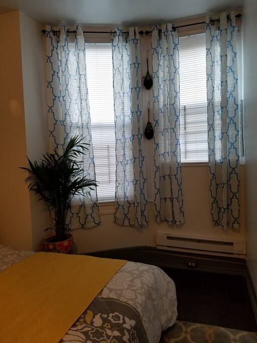 plants decor to bring a little nature indoor
