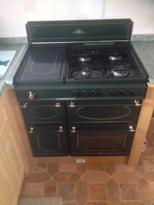 Family size cooker