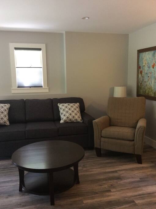 Sitting area with pull out sofa
