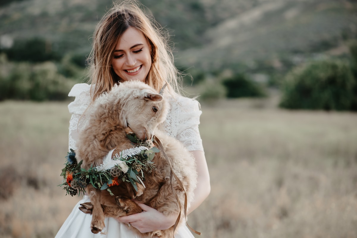 A person is seen holding a goat adorned with a floral wreath, set against a backdrop of a grassy landscape and gentle hills. The scene captures a connection between nature and animals, highlighting the tranquility of the rural environment.