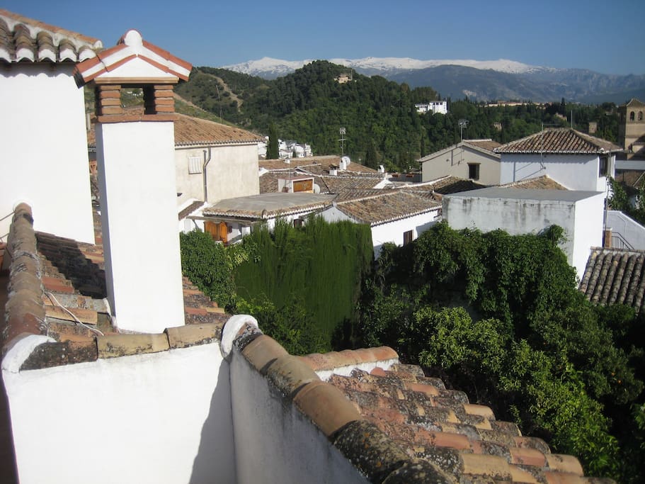 Vista desde azotea / View from roof terrace