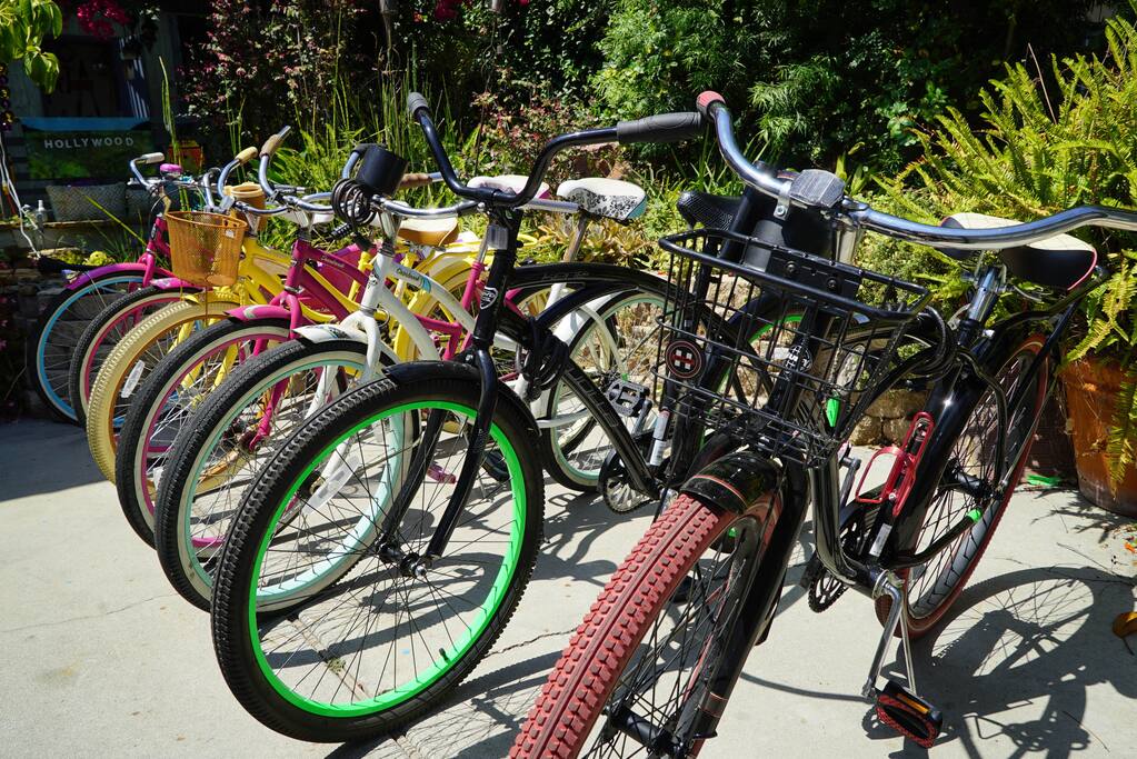 The coolest beach cruisers you will see in Venice!