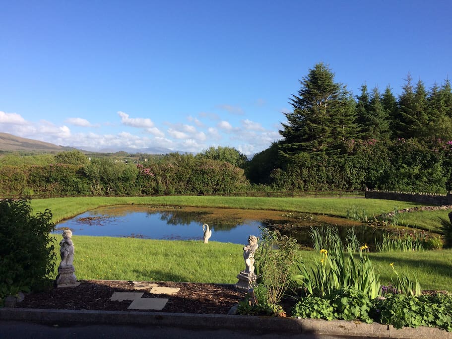 Views across the garden