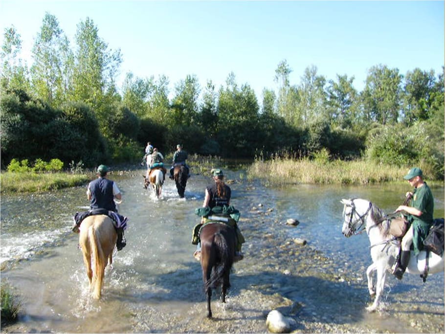 TREKKING A CAVALLO
