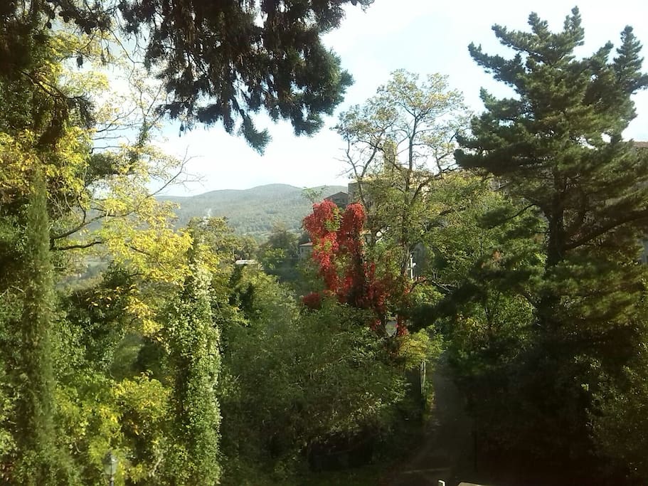 Il castello tra le fronde